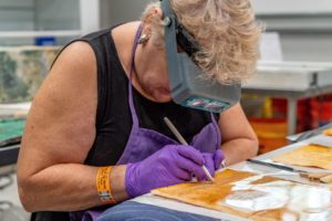 Woman separating waterlogged parchment papers with list of war dead.
